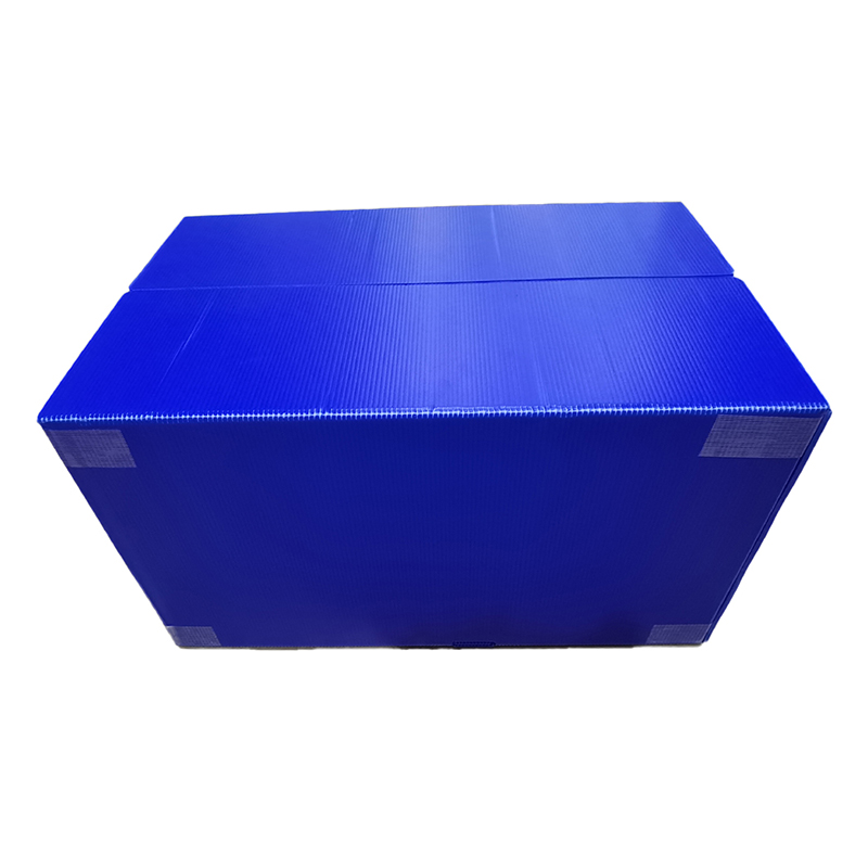 Cutie de depozitare din plastic ondulat PP cu închidere velcro cu orificiu pentru mână