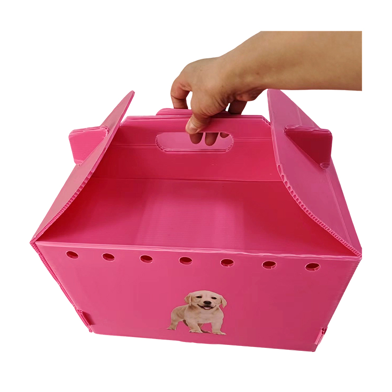 Transportor pentru animale de companie pliabil cu mai multe orificii de aer din plastic ondulat