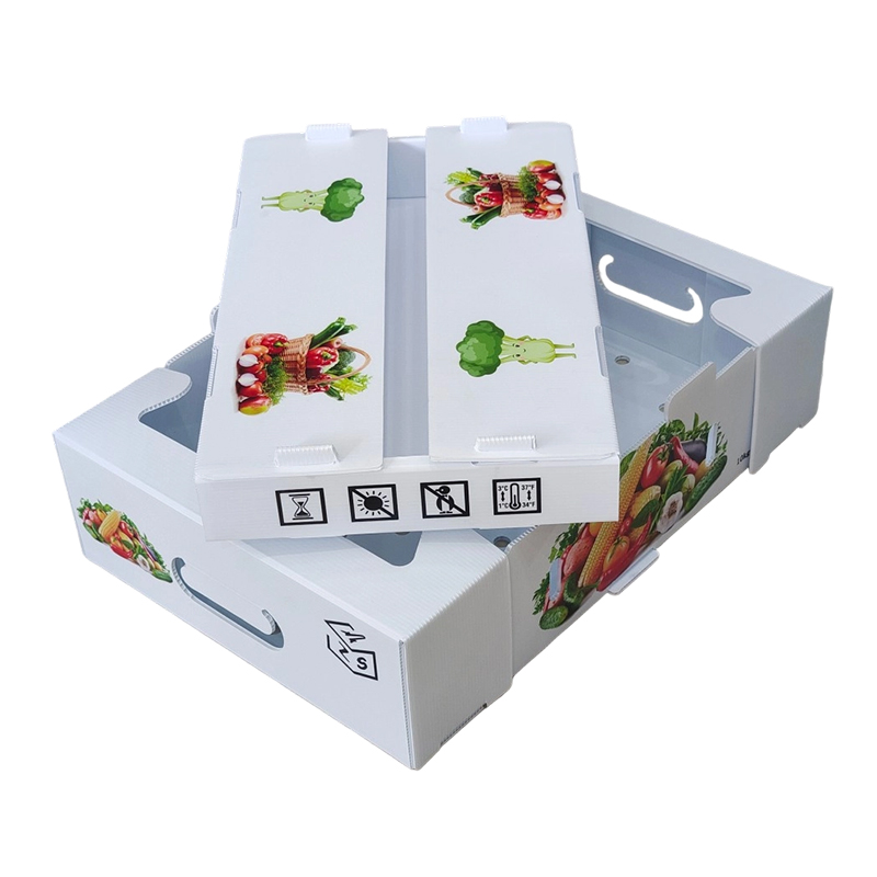 Cutie de fructe din plastic ondulat PP imprimată la comandă rezistentă la umezeală