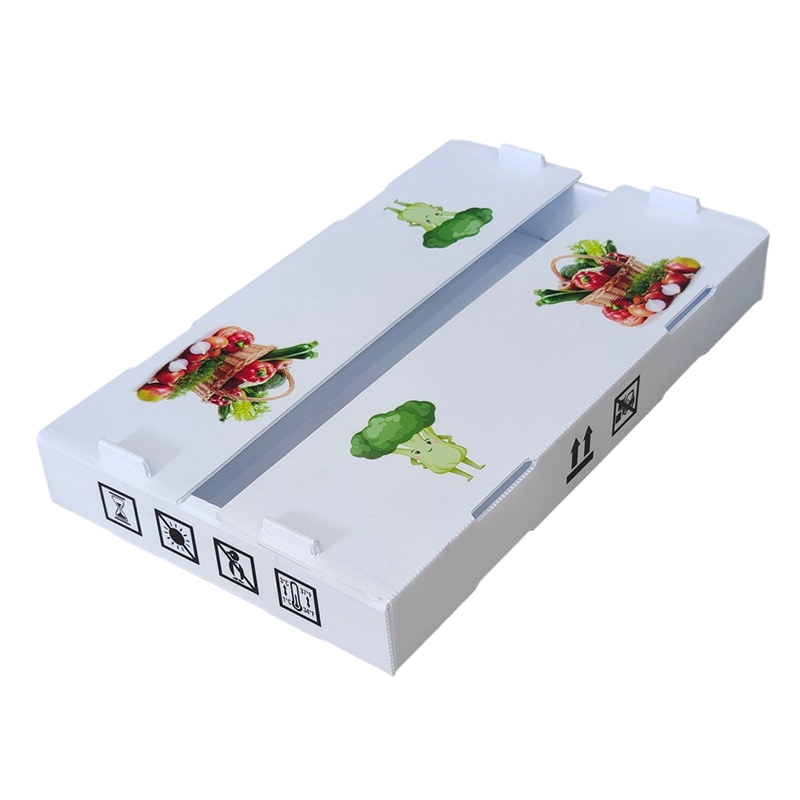 Cutie de fructe din plastic ondulat PP imprimată la comandă rezistentă la umezeală