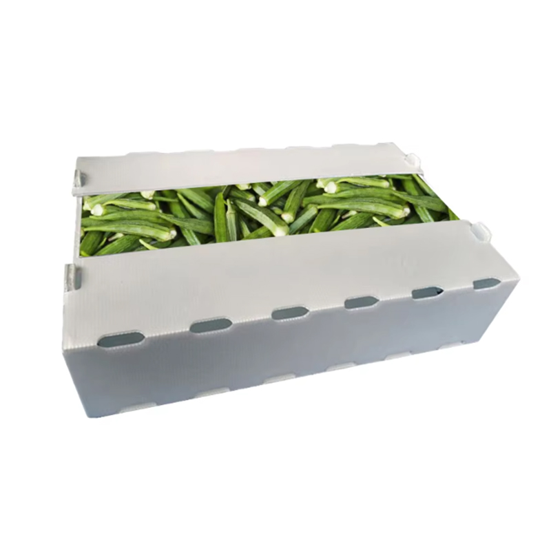 Cutie de fructe din plastic ondulat PP imprimată la comandă rezistentă la umezeală