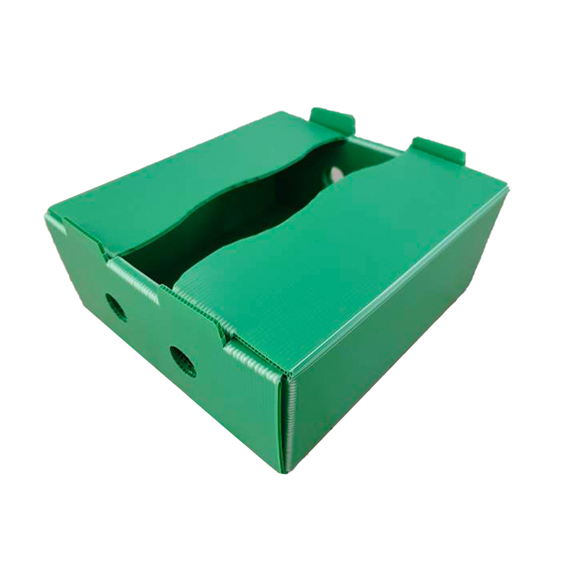 Cutie de fructe din plastic ondulat PP imprimată la comandă rezistentă la umezeală