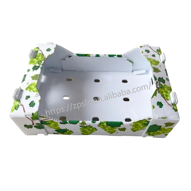 Cutie pliabilă din plastic ondulat PP cu găuri de ventilație
