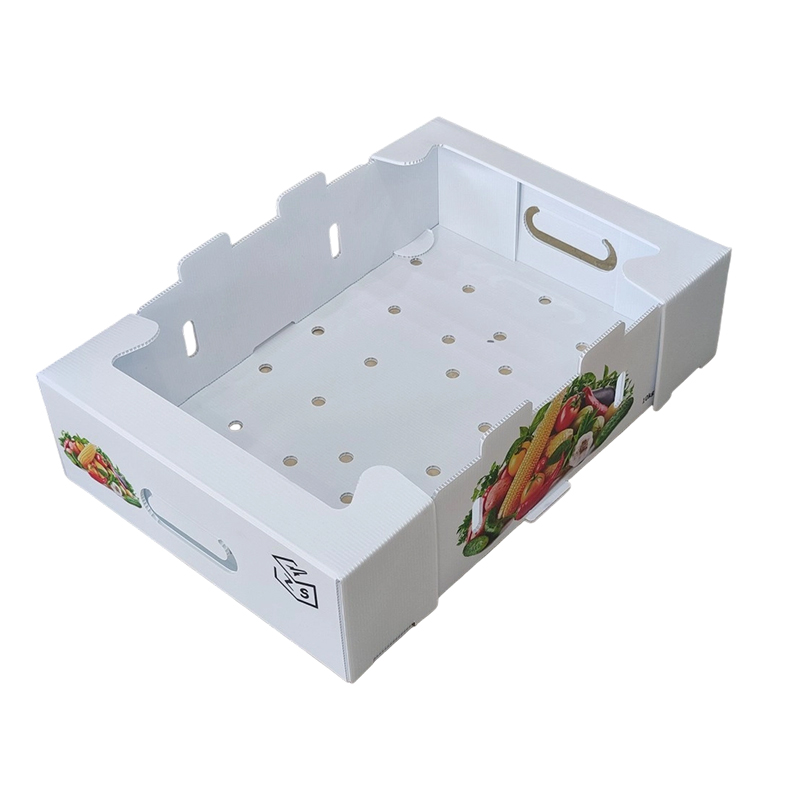 Cutie pliabilă din plastic ondulat PP cu găuri de ventilație