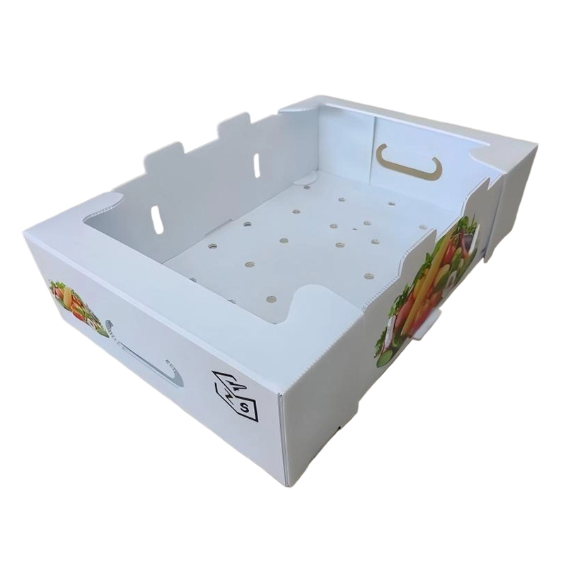 Cutie pliabilă din plastic ondulat PP cu găuri de ventilație