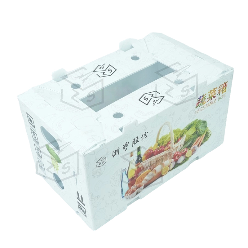 Cutie de fructe Corflute PP rezistentă la apă reutilizabilă